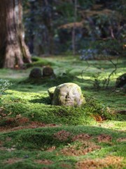 京都補完計画 其ノ肆拾弐