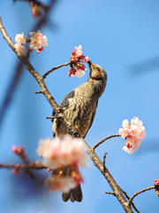 おちついてね