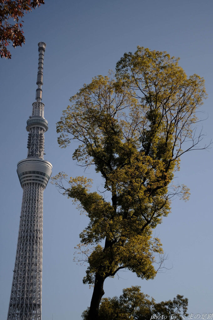 墨田の風景