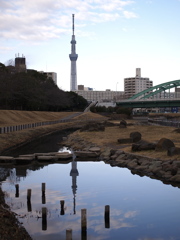 冬の散歩道