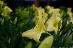 言葉に出来ない気持ち