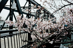 春の印象