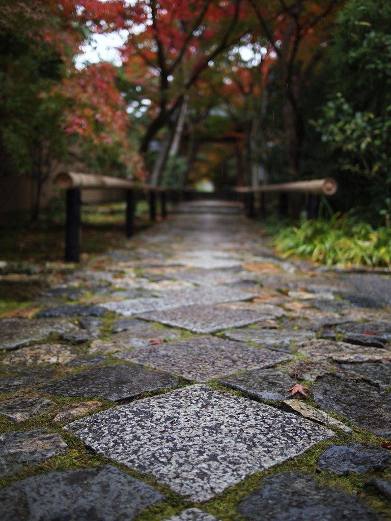京都補完計画 其ノ佰拾捌
