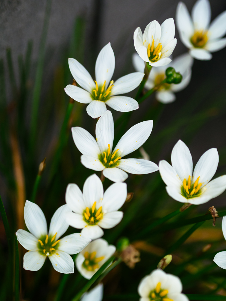 ありふれた１日が