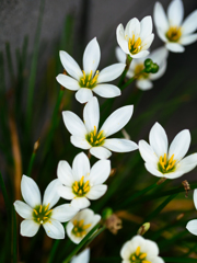 ありふれた１日が