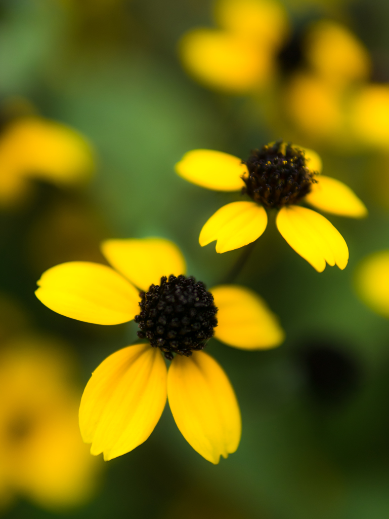 くもり時々曇り