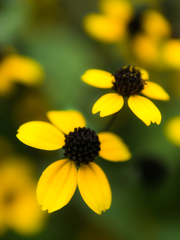 くもり時々曇り