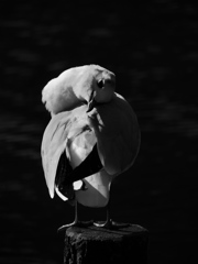 抱きしめて