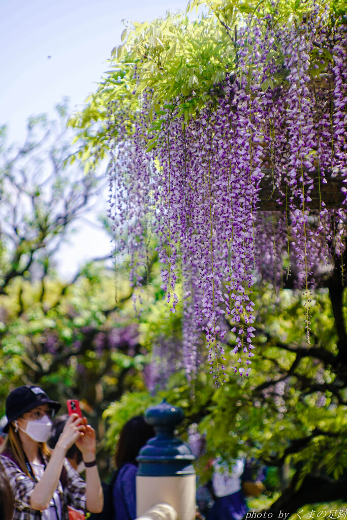 4月20日　天神通信