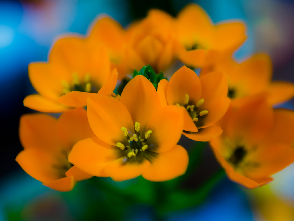 雨の日はしょうがない