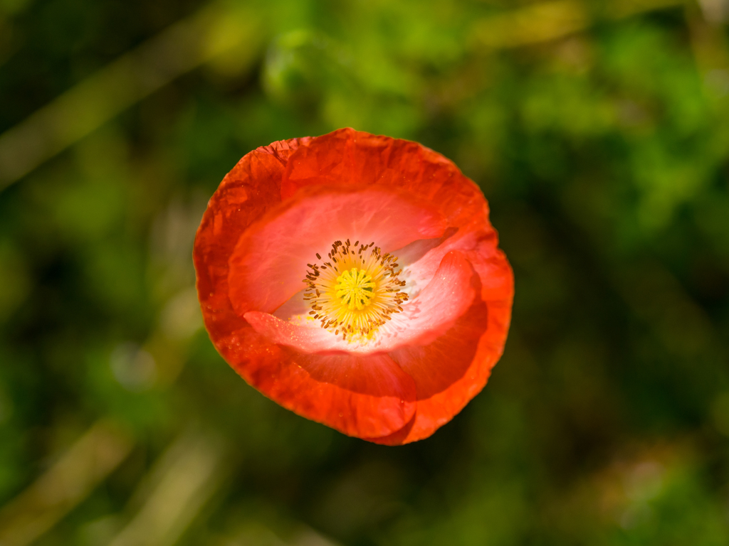 くちびるにあいを