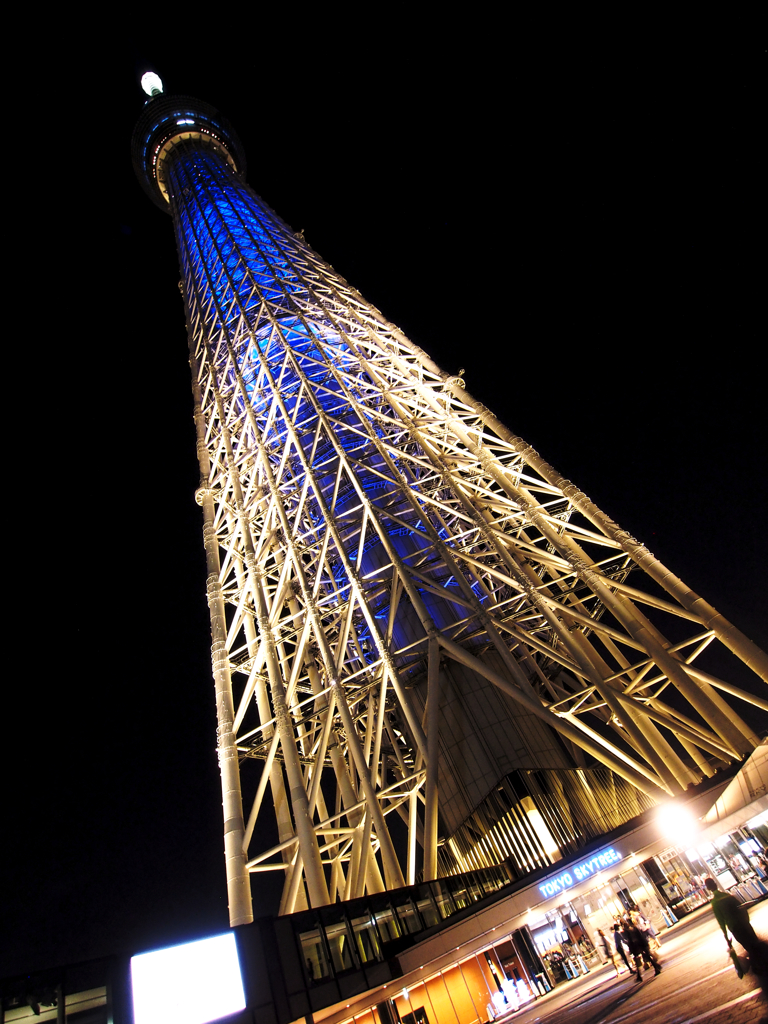 夜に彷徨う