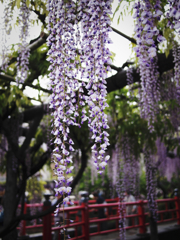 今年の天神様