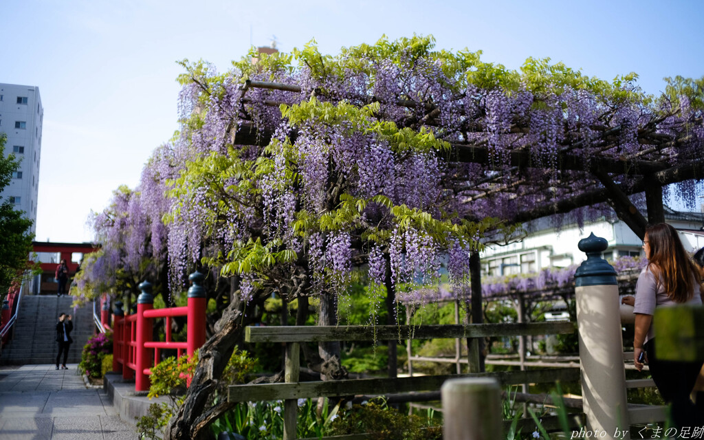 4月14日 天神通信 2