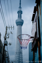 八月のゴール