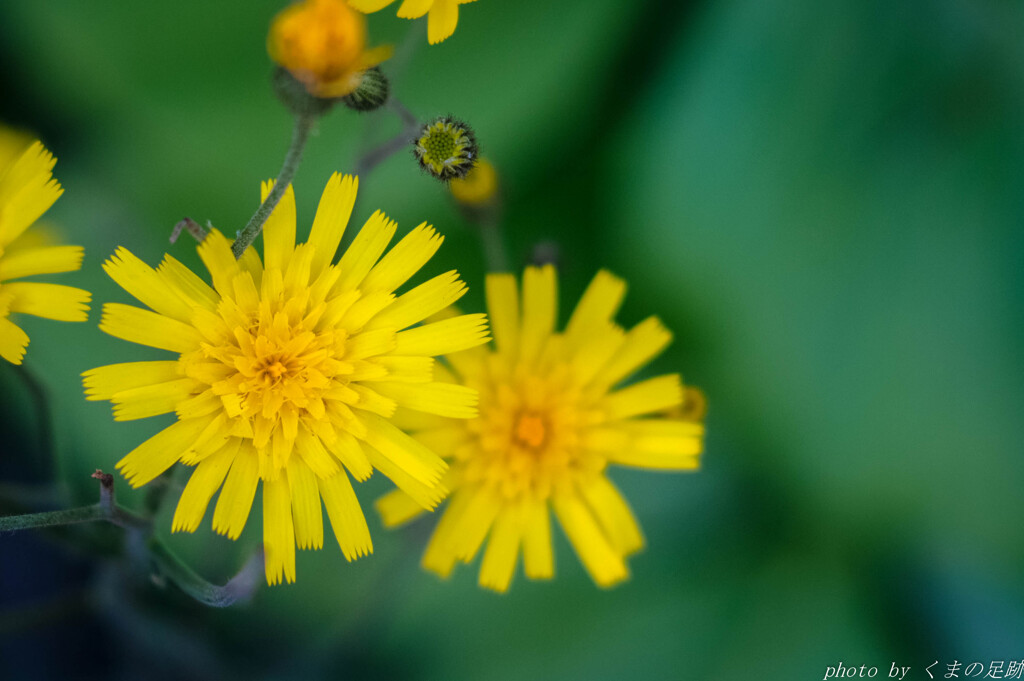 行きつく先には