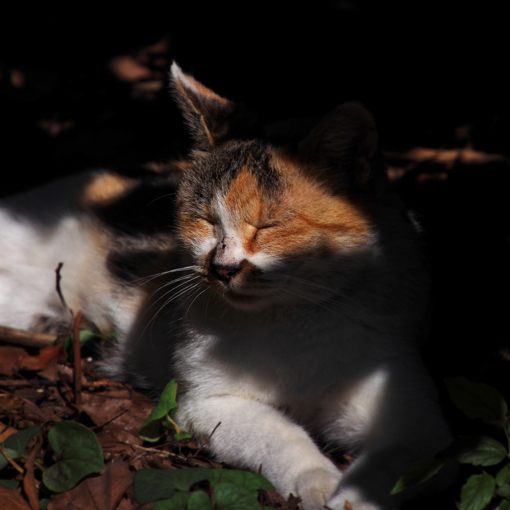 気持ちいいね