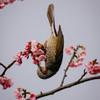 難易度Ａ
