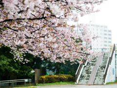 雨宿り