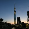 家路