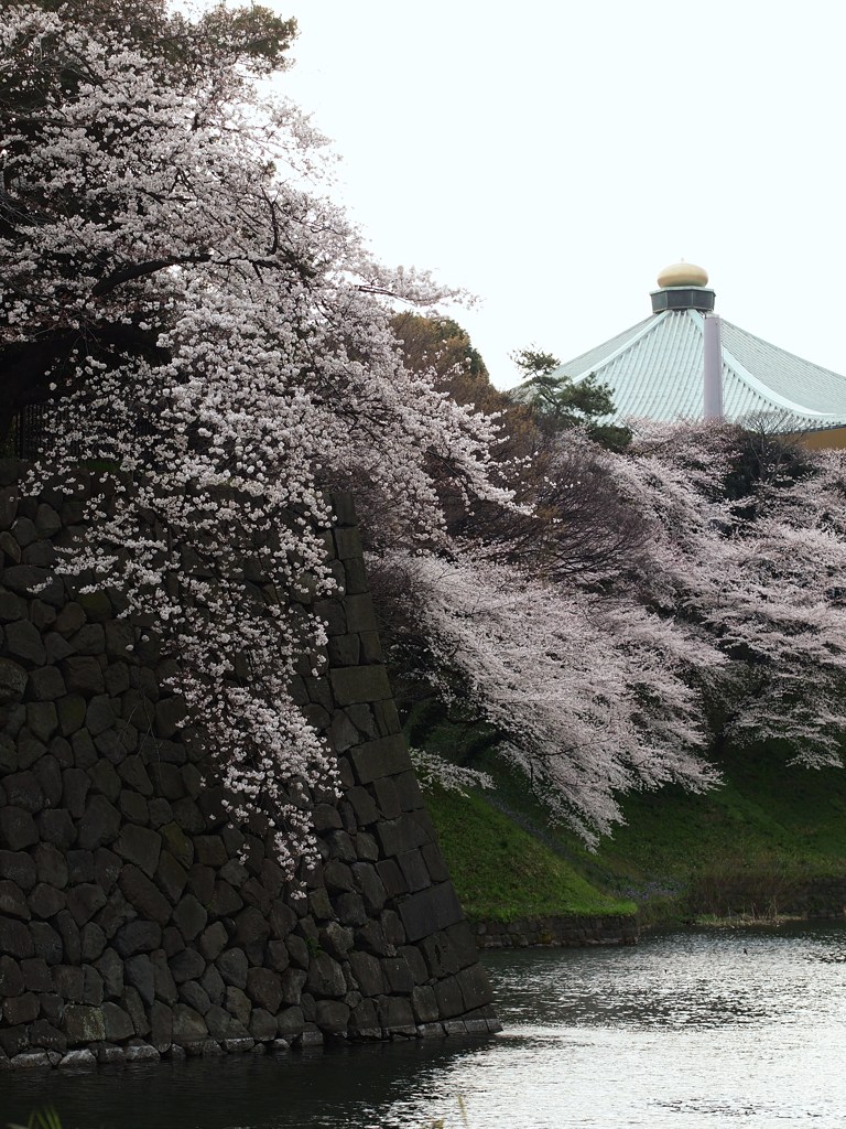 はる・たまねぎ