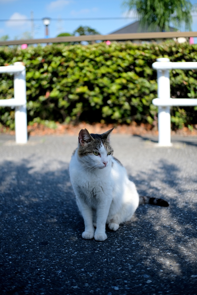 人間不信