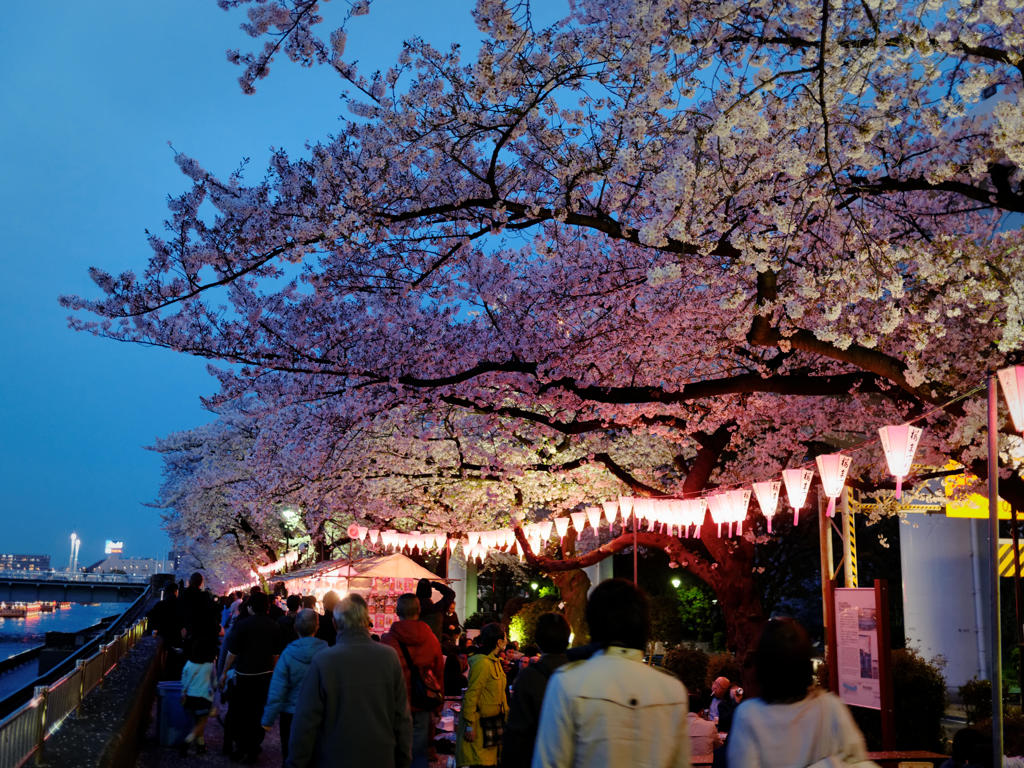かけあしに
