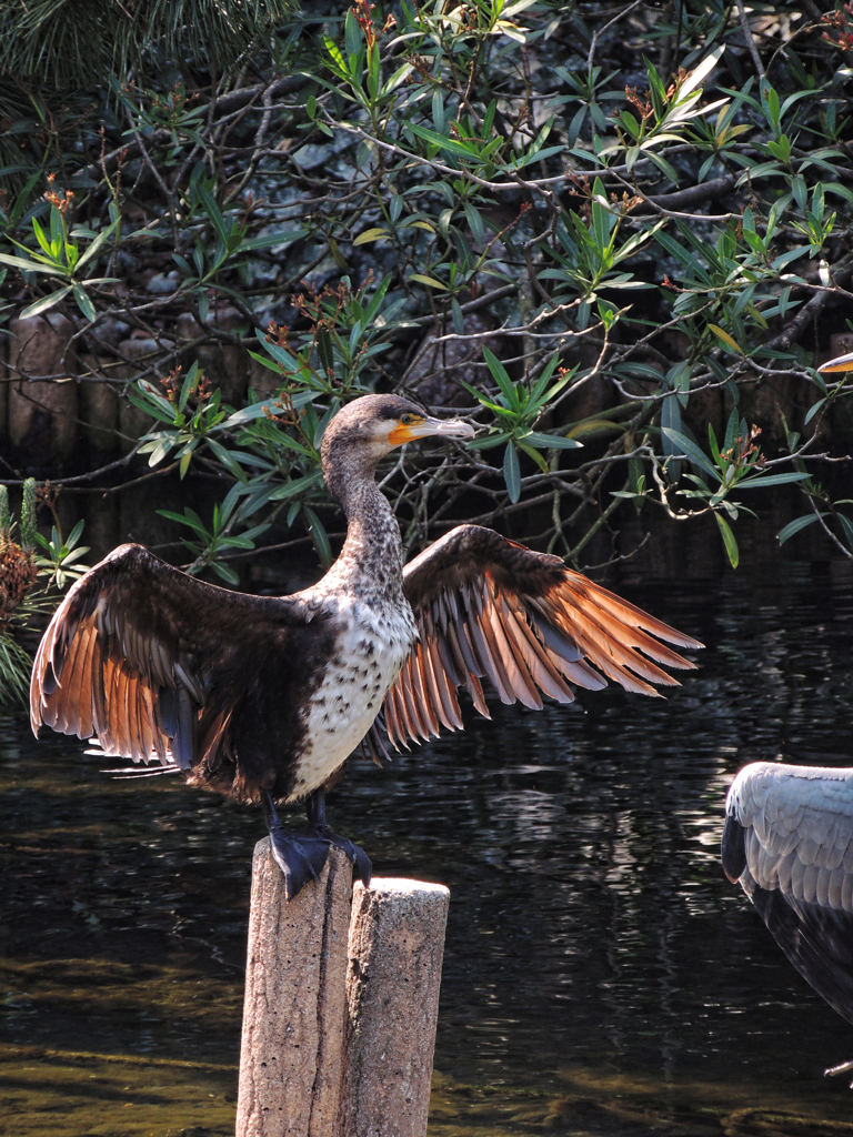 ぱぁ～っと行こうぜ!!