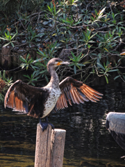 ぱぁ～っと行こうぜ!!