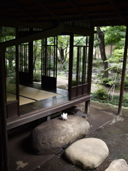 おはようござい