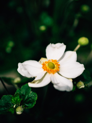 覚悟はあるの？