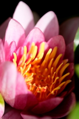 リアルを求めて