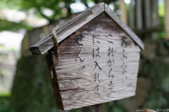 門番：気が付くか気が付かないかはあなた次第