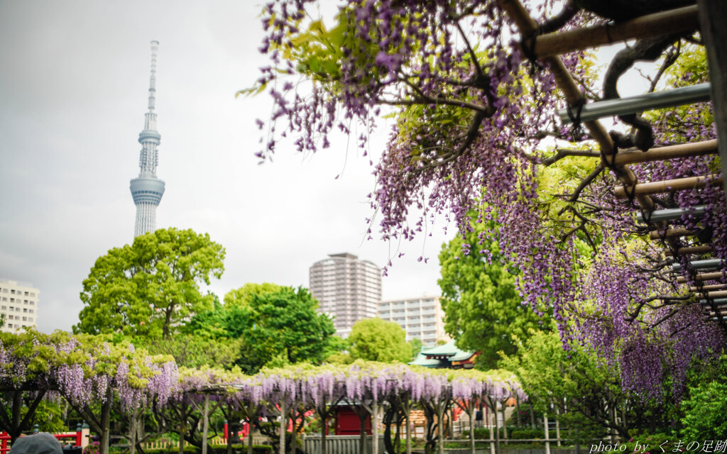 4月23日 天神通信