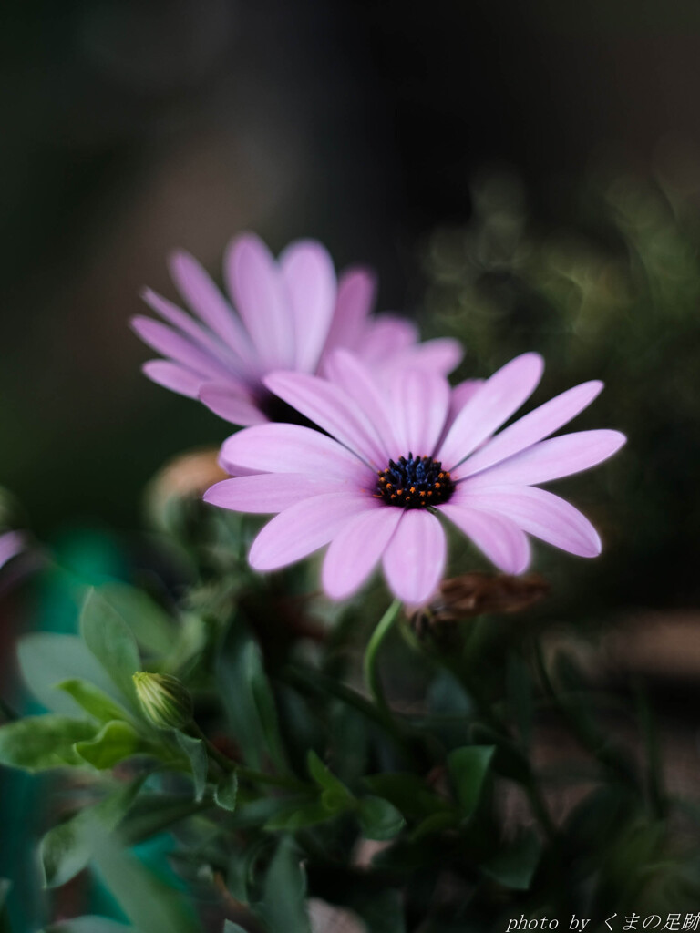 絵に描いたような