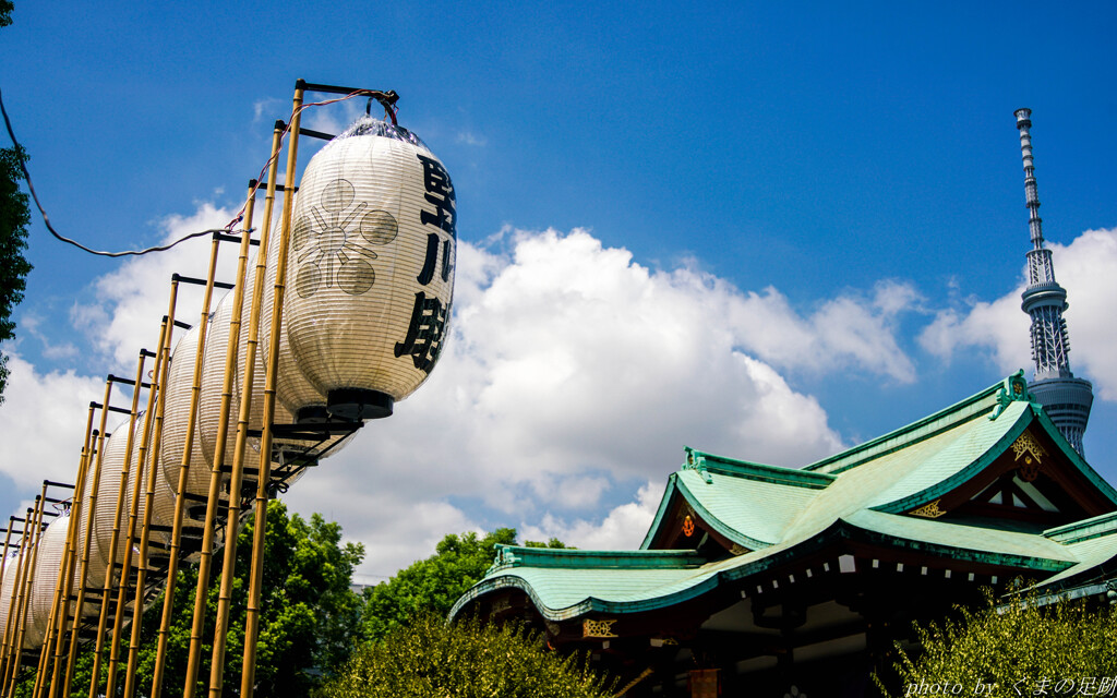 空高く