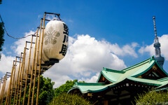 空高く
