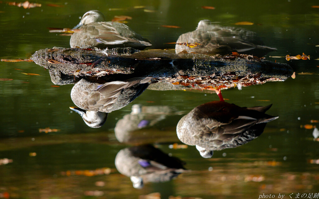 暦と気持ちはすれ違い