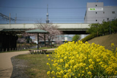 色香濃し