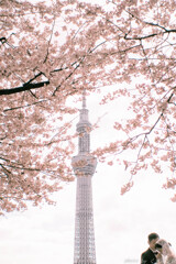 まぁ、なんといいますか