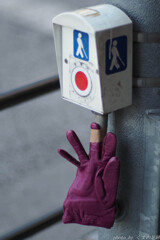 The road to OM-5 MarkⅡ  かゆいところに届くのか