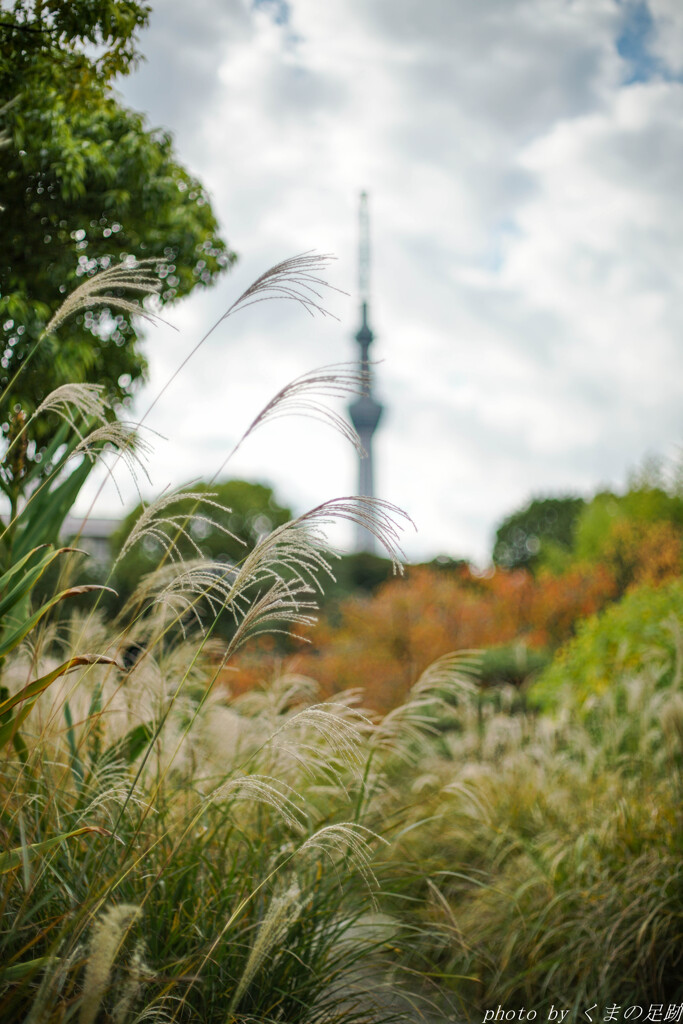 遠い昔、ヒトは宇宙に行ったとか