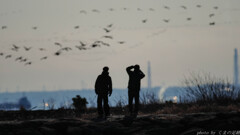 同好の士の背中をお借りして