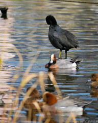 ねぇねぇ、なんか重く感じるんだけど