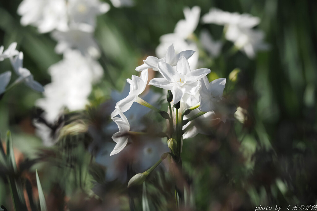 白って200色あんねん