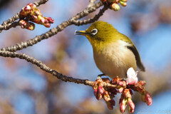 なんじゃこりゃ～