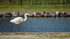 お買い物、お買い物 (^^♪