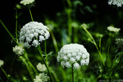 明けない梅雨はない