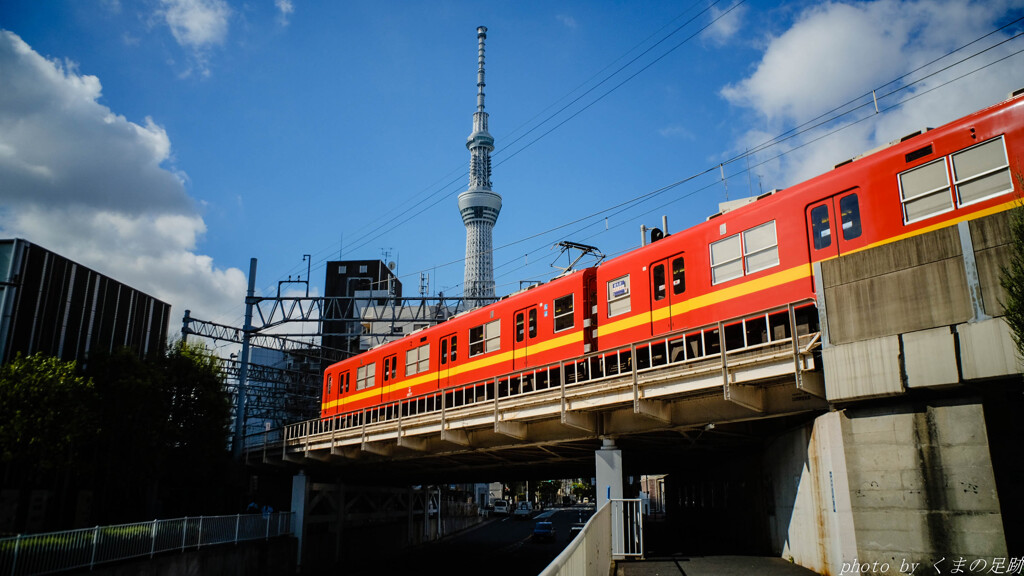 厳しい残暑は鉄分補給で乗り切ろう