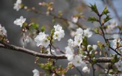 胸はずませていた頃